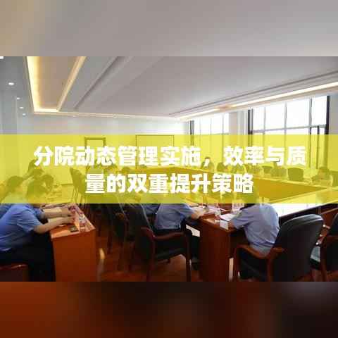 分院动态管理实施,效率与质量的双重提升策略