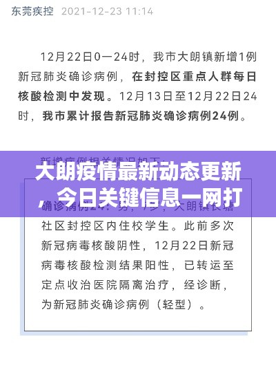 大朗疫情最新动态更新，今日关键信息一网打尽