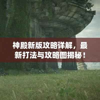 神殿新版攻略详解,最新打法与攻略图揭秘!