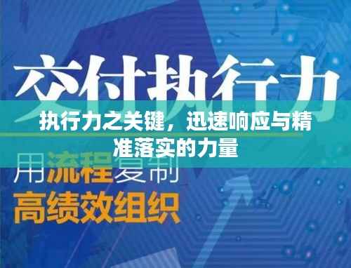 执行力之关键,迅速响应与精准落实的力量