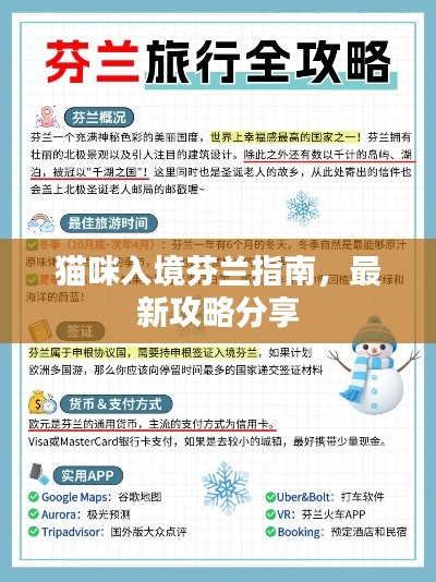 猫咪入境芬兰指南,最新攻略分享