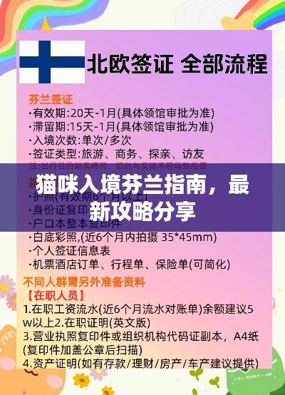 猫咪入境芬兰指南,最新攻略分享