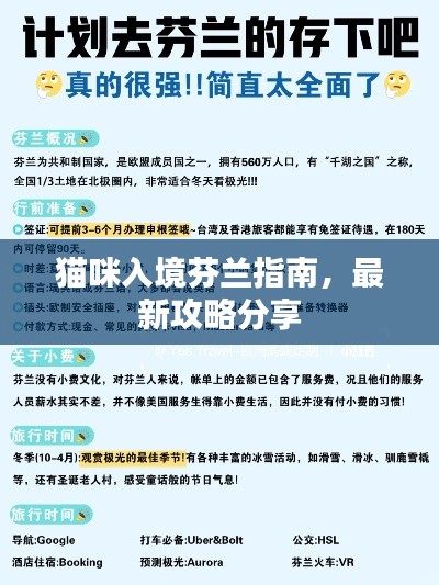 猫咪入境芬兰指南,最新攻略分享