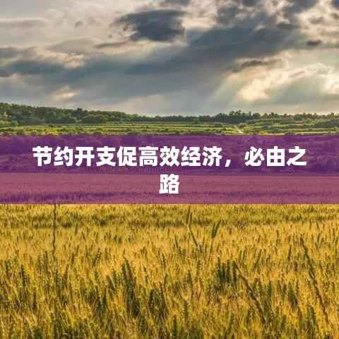 节约开支促高效经济,必由之路