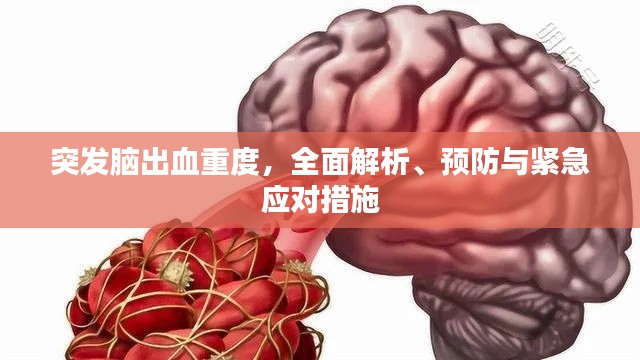 突发脑出血重度，全面解析、预防与紧急应对措施