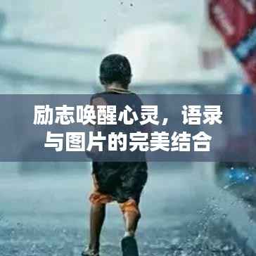 励志唤醒心灵,语录与图片的完美结合