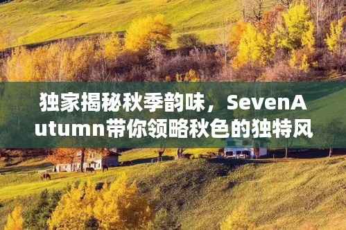 独家揭秘秋季韵味,SevenAutumn带你领略秋色的独特风情