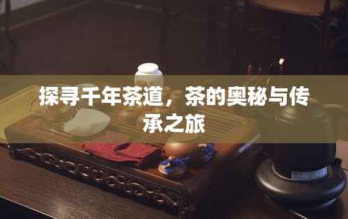 探寻千年茶道,茶的奥秘与传承之旅