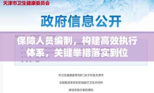 保障人员编制,构建高效执行体系,关键举措落实到位