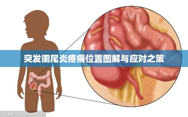 全神贯注 第2页