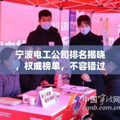 宁波电工公司排名揭晓,权威榜单,不容错过!