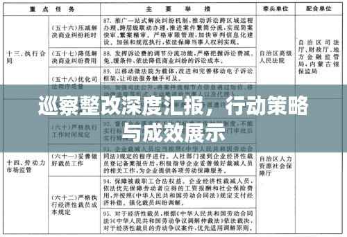 巡察整改深度汇报，行动策略与成效展示