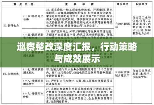 巡察整改深度汇报,行动策略与成效展示
