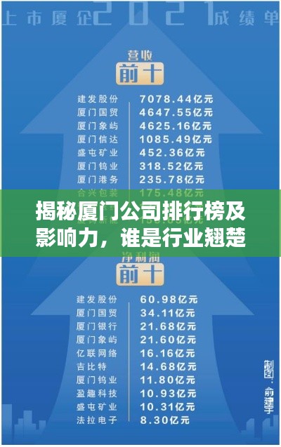 揭秘厦门公司排行榜及影响力,谁是行业翘楚?