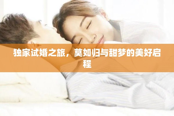 公司介绍 第89页