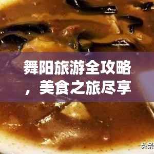 舞阳旅游全攻略,美食之旅尽享风味盛宴!