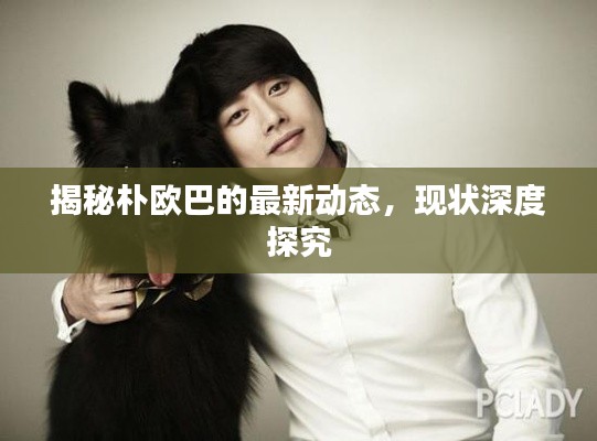 揭秘朴欧巴的最新动态，现状深度探究