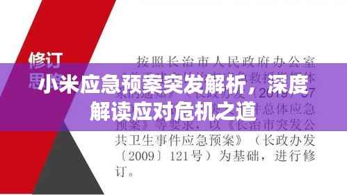 小米应急预案突发解析,深度解读应对危机之道