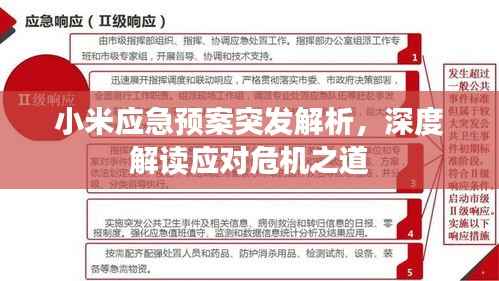 小米应急预案突发解析,深度解读应对危机之道