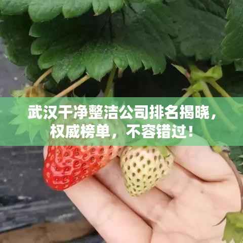 武汉干净整洁公司排名揭晓,权威榜单,不容错过!