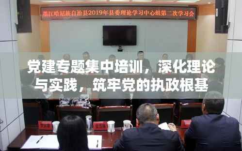 党建专题集中培训，深化理论与实践，筑牢党的执政根基