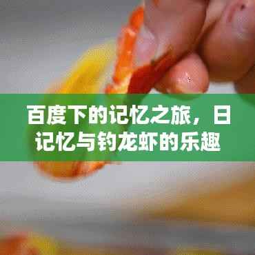 百度下的记忆之旅,日记忆与钓龙虾的乐趣回忆