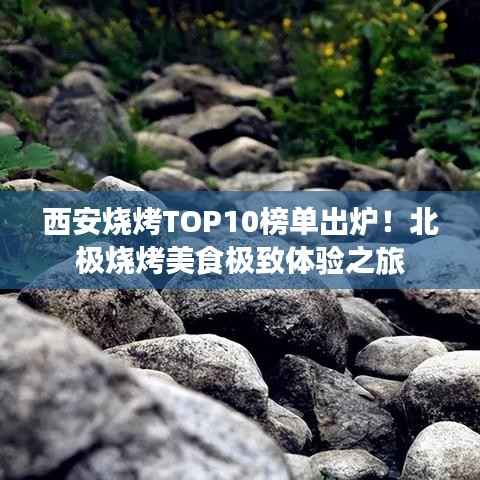 西安烧烤TOP10榜单出炉！北极烧烤美食极致体验之旅