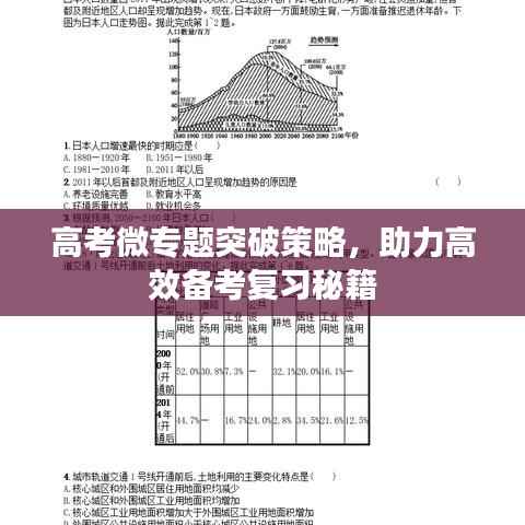 高考微专题突破策略,助力高效备考复习秘籍