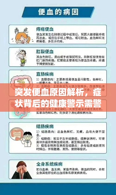 突发便血原因解析,症状背后的健康警示需警惕