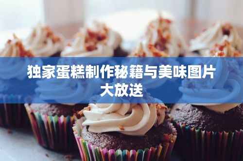 独家蛋糕制作秘籍与美味图片大放送
