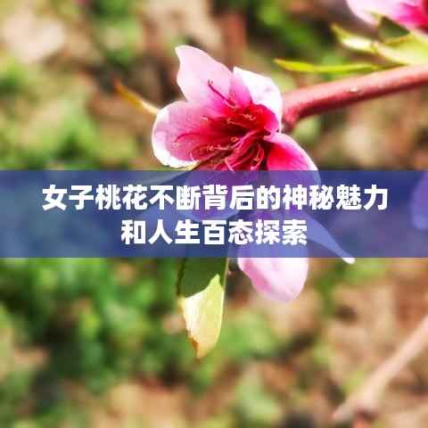 女子桃花不断背后的神秘魅力和人生百态探索