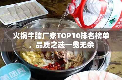 火锅牛腩厂家TOP10排名榜单，品质之选一览无余