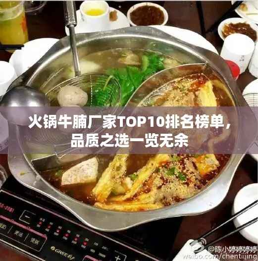 火锅牛腩厂家TOP10排名榜单,品质之选一览无余