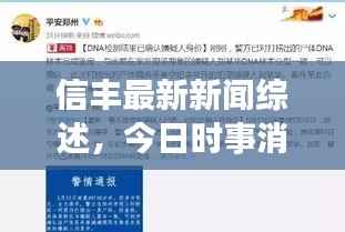 信丰最新新闻综述,今日时事消息全解析