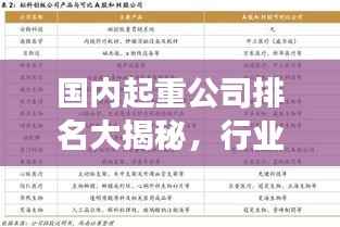 国内起重公司排名大揭秘,行业影响力与竞争力榜单!