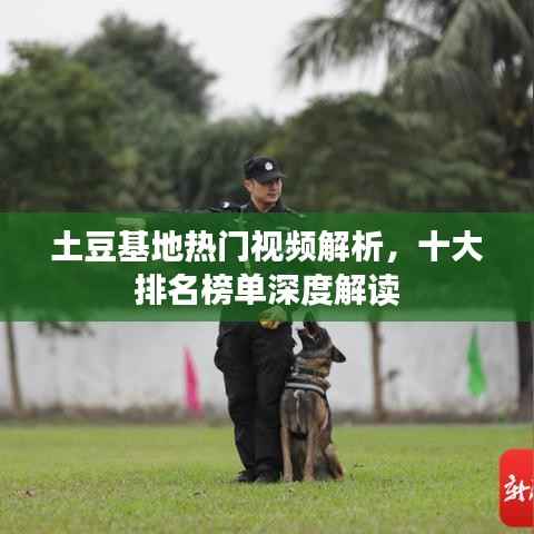 土豆基地热门视频解析,十大排名榜单深度解读