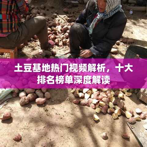 土豆基地热门视频解析,十大排名榜单深度解读