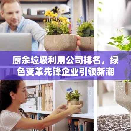 厨余垃圾利用公司排名，绿色变革先锋企业引领新潮流