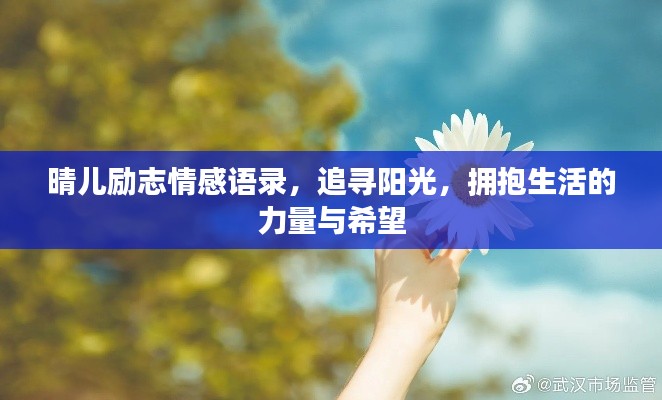 晴儿励志情感语录,追寻阳光,拥抱生活的力量与希望