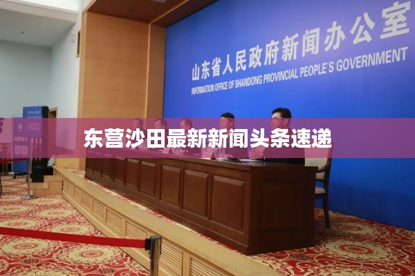 东营沙田最新新闻头条速递