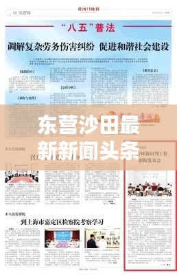 东营沙田最新新闻头条速递