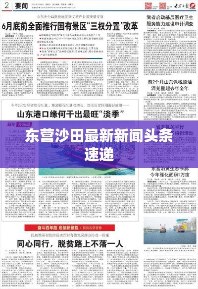 东营沙田最新新闻头条速递