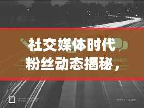 社交媒体时代粉丝动态揭秘,涨粉与掉粉如何平衡的秘密!