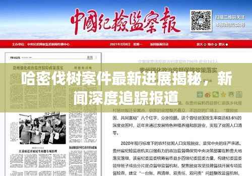 哈密伐树案件最新进展揭秘,新闻深度追踪报道