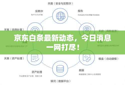 京东白条最新动态，今日消息一网打尽！