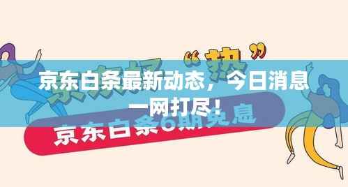 京东白条最新动态,今日消息一网打尽!