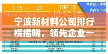 宁波新材料公司排行榜揭晓，领先企业一览
