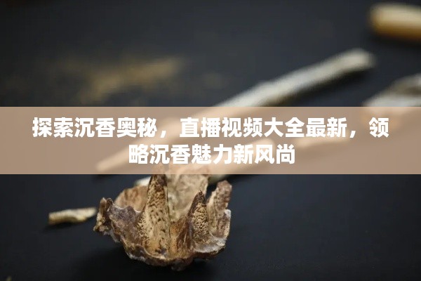 探索沉香奥秘,直播视频大全最新,领略沉香魅力新风尚