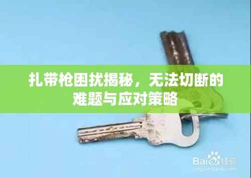 扎带枪困扰揭秘,无法切断的难题与应对策略