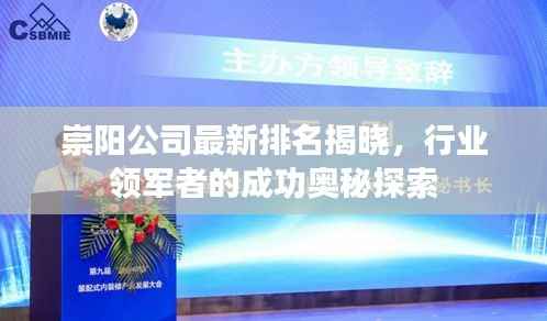 崇阳公司最新排名揭晓，行业领军者的成功奥秘探索